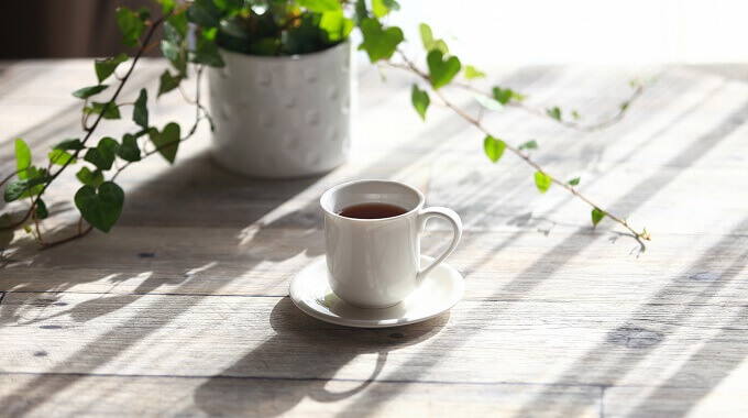 コーヒーの美肌効果 インスタントでも効果はあるの くまと珈琲オンラインショップ かわいいくまグッズの通販専門店
